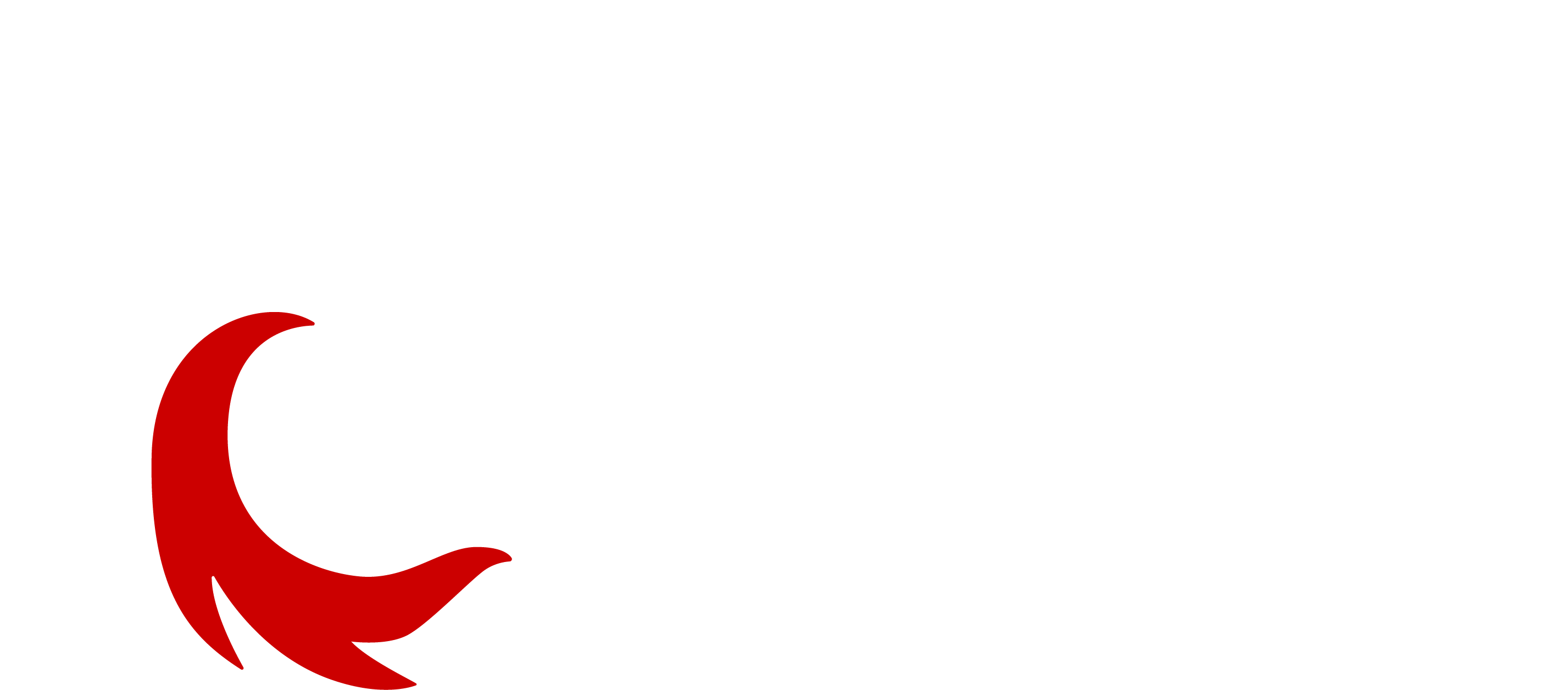 CNB Solutions