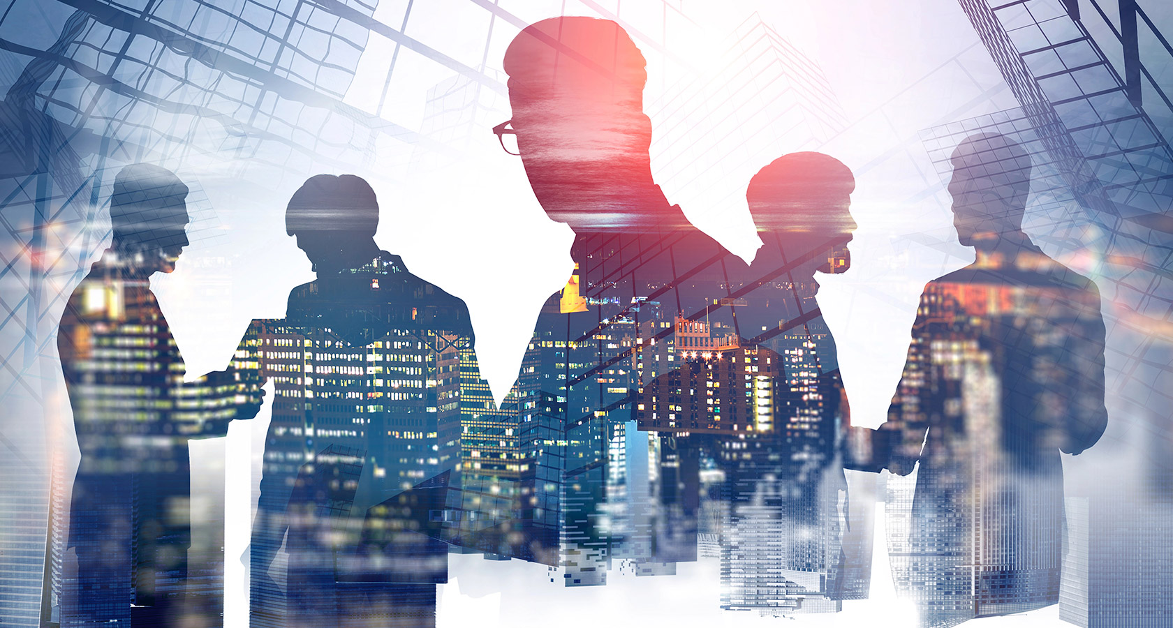 Discovery & Consultation