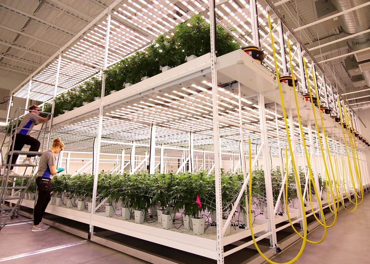 Vertical Growing Systems
